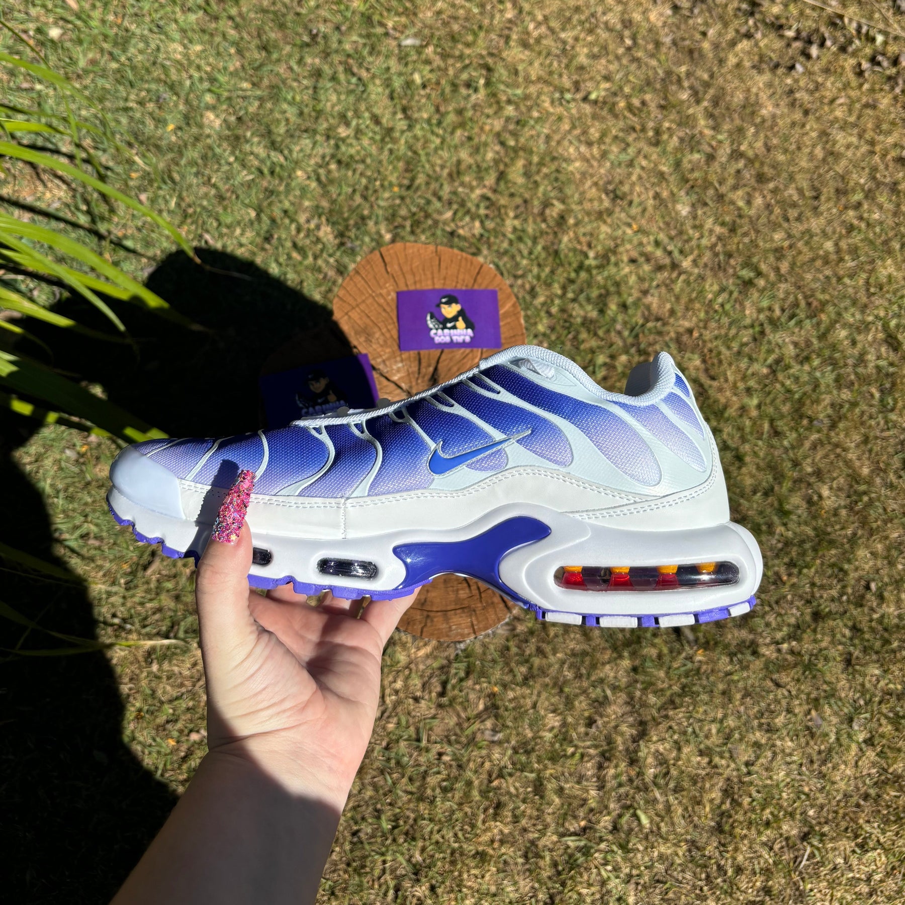 AIR MAX PLUS TN 1 '' Purple Dragon ''