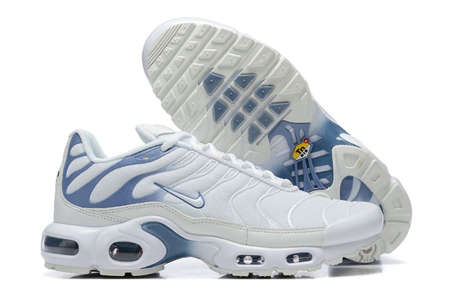 AIR MAX PLUS TN 1 '' Ashen Slate ''